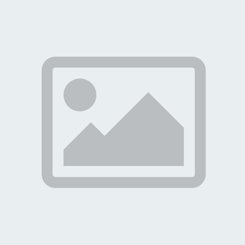 Solar Panels: Powering a Sustainable Future