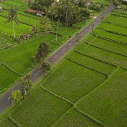Land