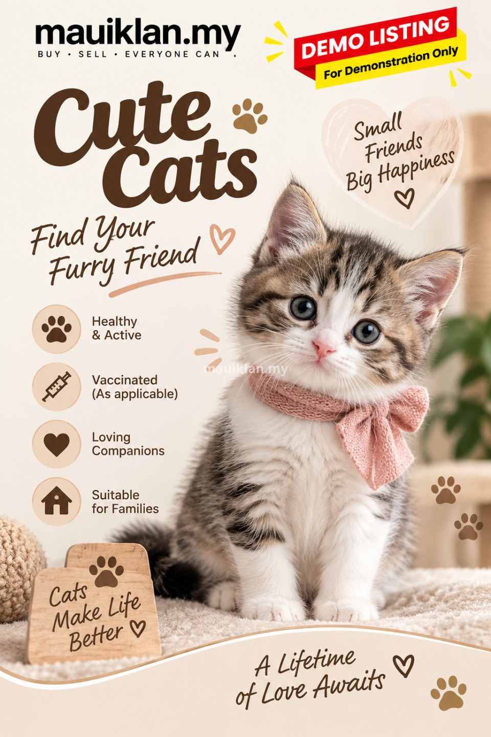 DEMO – Cute & Friendly Kitten Looking for a New Home